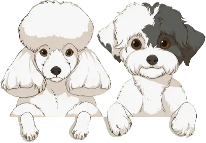 2 Dogs 2 - All For Groomers